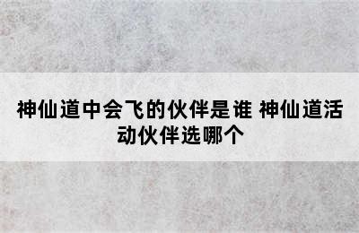 神仙道中会飞的伙伴是谁 神仙道活动伙伴选哪个